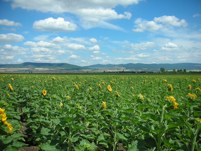 Вся Болгария (отчет+фото)