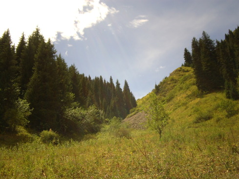 +Малайзия к 4м поездкам в Тай(размышления и"семейные"  фото)