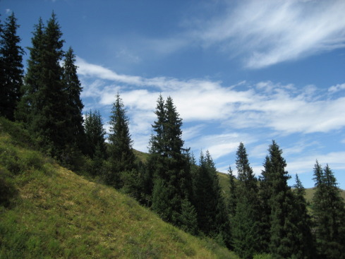 +Малайзия к 4м поездкам в Тай(размышления и"семейные"  фото)