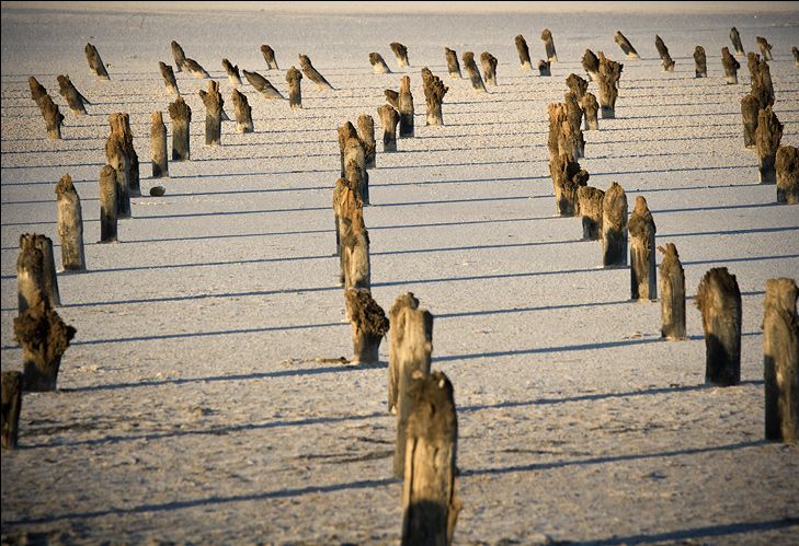 Маршрут Лос-Анджелес -ПАРКИ