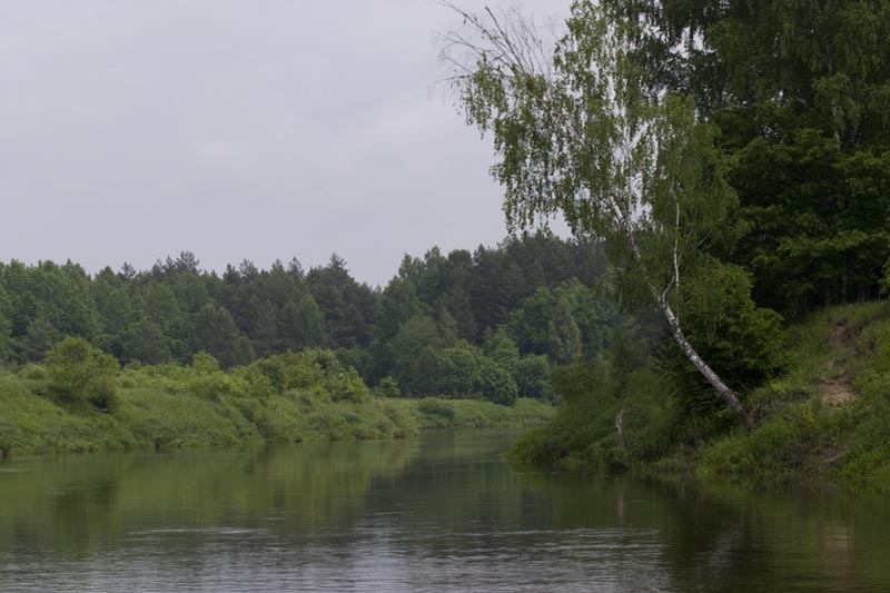 На плоту по реке Жиздра (Фото-отчет)