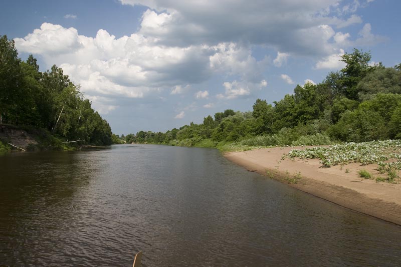 На плоту по реке Жиздра (Фото-отчет)