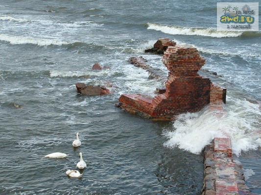 Кёнигбсерг - Куршская коса - Балтийск, отчёт об апреле '07