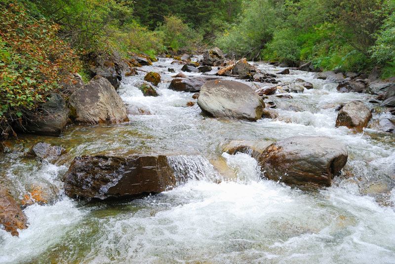 Горный Алтай - экспресс-анализ с фото Горный Алтай - экспресс-анализ с фото