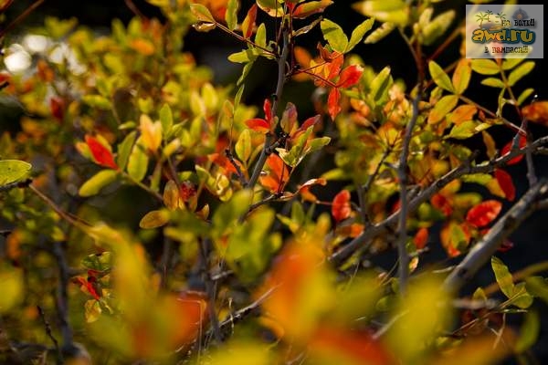 Крым...лето..Затерянный Мир...индейцы...фото к фильму Дикари