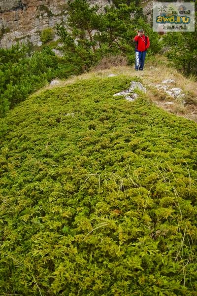 Крым...лето..Затерянный Мир...индейцы...фото к фильму Дикари