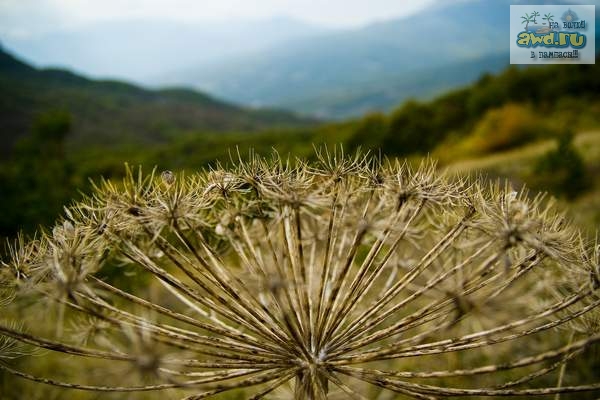 Крым...лето..Затерянный Мир...индейцы...фото к фильму Дикари