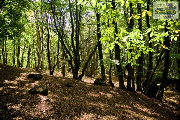 Крым...лето..Затерянный Мир...индейцы...фото к фильму Дикари