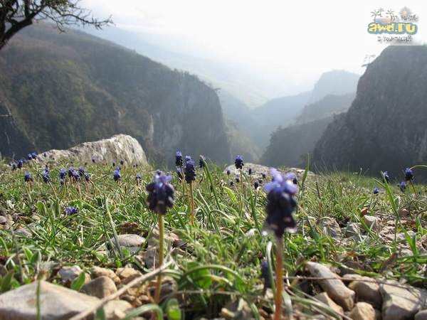 Крым...лето..Затерянный Мир...индейцы...фото к фильму Дикари