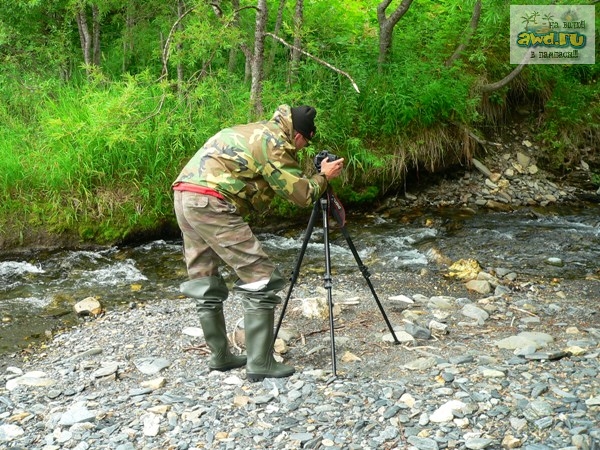 Фотоотчет "Покорение Камчатки"