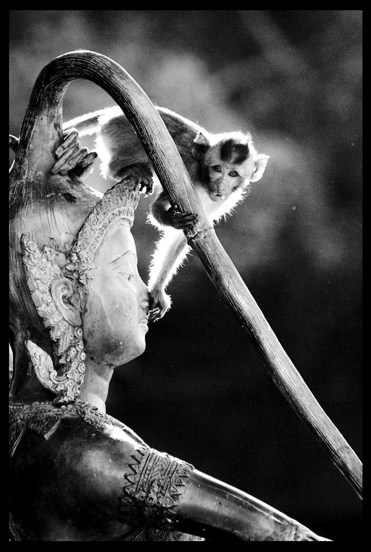 Паттайа + Острова 29.12.2008 - 11.01.2009 (Фото)