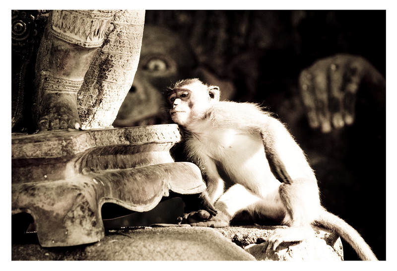 Паттайа + Острова 29.12.2008 - 11.01.2009 (Фото)