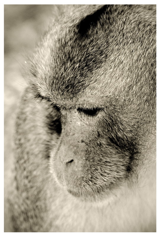 Паттайа + Острова 29.12.2008 - 11.01.2009 (Фото)