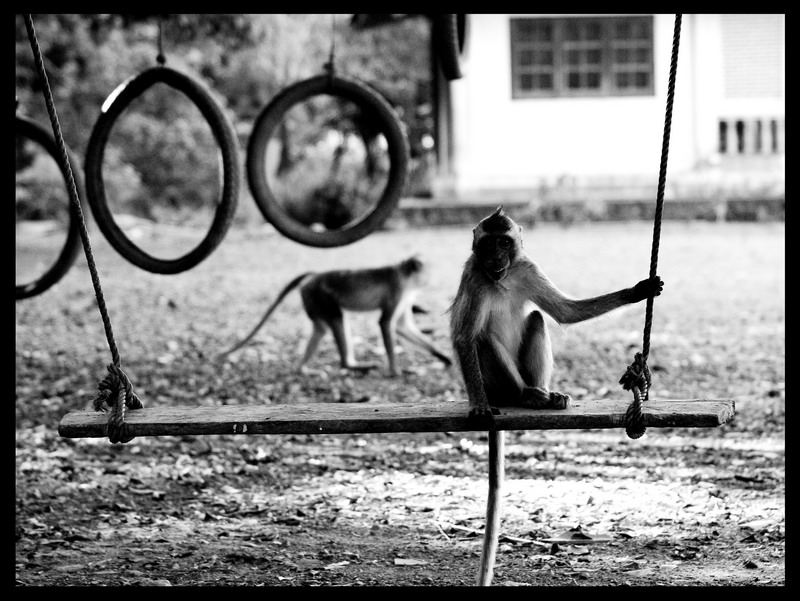 Паттайа + Острова 29.12.2008 - 11.01.2009 (Фото)