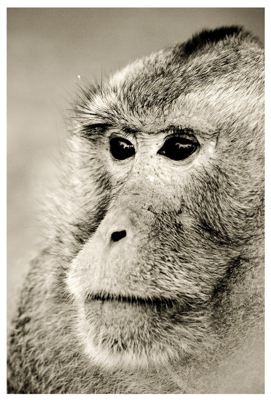 Паттайа + Острова 29.12.2008 - 11.01.2009 (Фото)