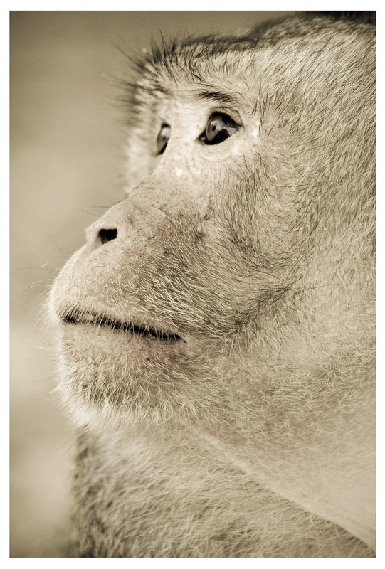 Паттайа + Острова 29.12.2008 - 11.01.2009 (Фото)