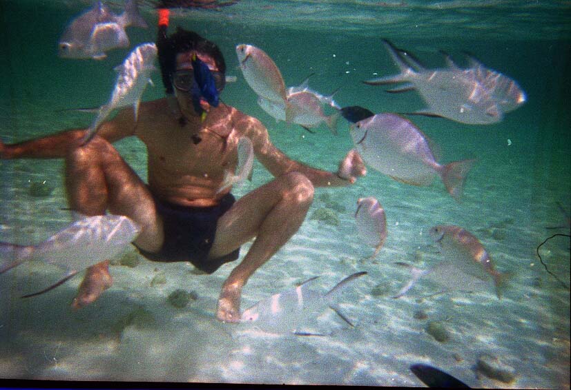 В первый раз БКК-Самуи-Краби-ПиПи-Пукет/февраль2009.