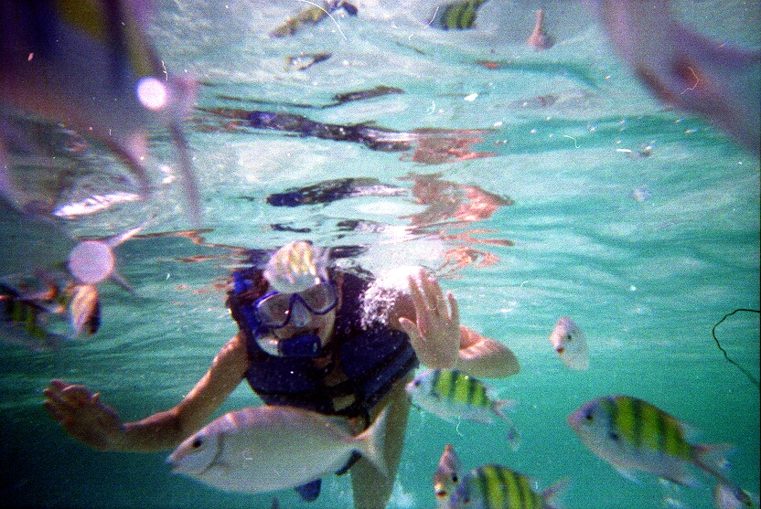 В первый раз БКК-Самуи-Краби-ПиПи-Пукет/февраль2009.