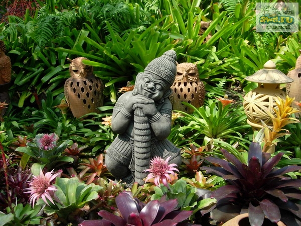 немного фоток