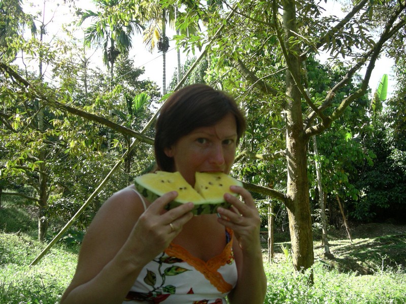 СПб-БКК-Ко Тао–Ко Самуи. Март 2009 (3ч.Ко Самуи-много фото)