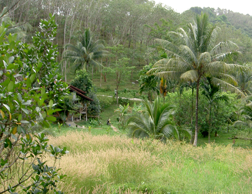 Бангкок – Камбоджа – Куала-Лумпур – Пукет (декабрь 2007)
