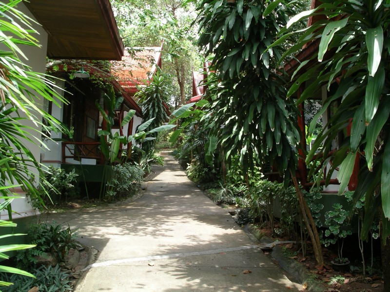 СПб-БКК-Ко Тао–Ко Самуи. Март 2009 (3ч.Ко Самуи-много фото)