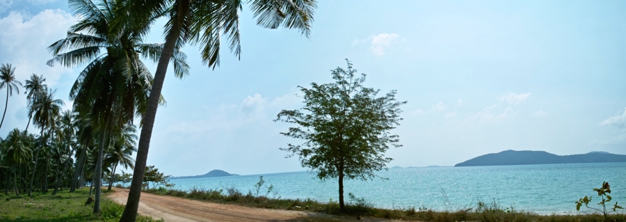 Остров Samui on-line (12.01.2009 - 05.05.2009)