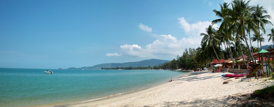 Остров Samui on-line (12.01.2009 - 05.05.2009)