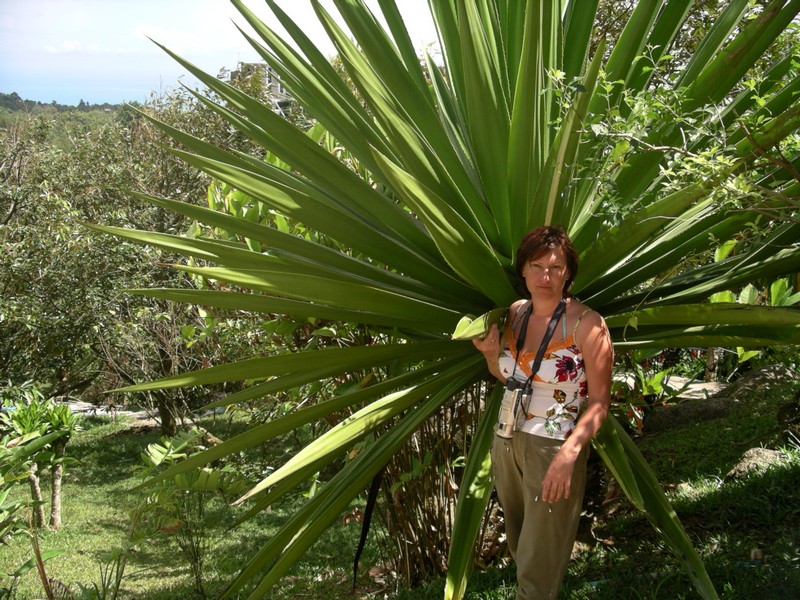 СПб-БКК-Ко Тао–Ко Самуи. Март 2009 (3ч.Ко Самуи-много фото)