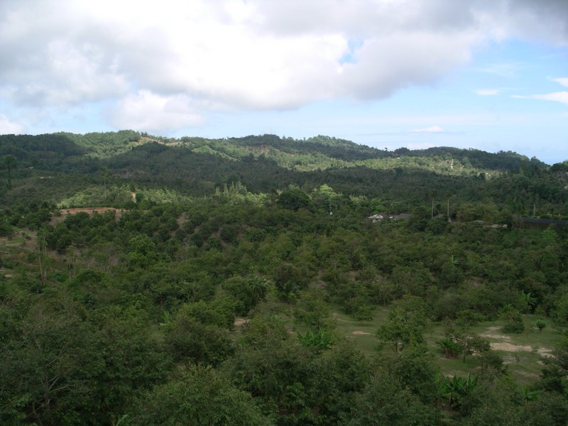 СПб-БКК-Ко Тао–Ко Самуи. Март 2009 (3ч.Ко Самуи-много фото)