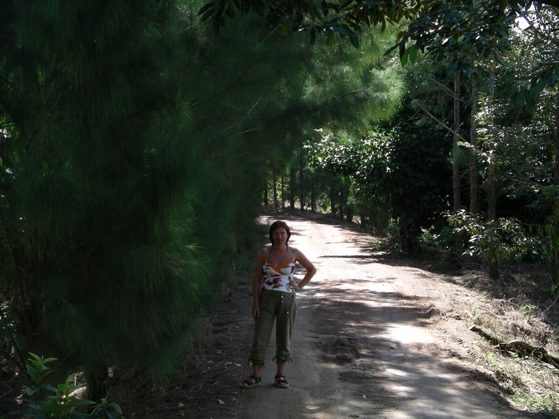 СПб-БКК-Ко Тао–Ко Самуи. Март 2009 (3ч.Ко Самуи-много фото)