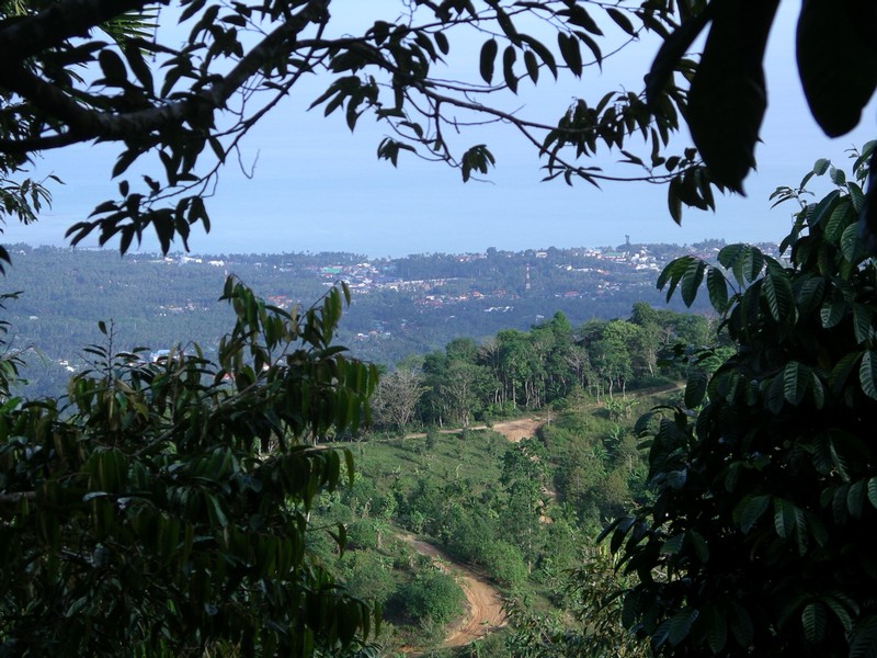 СПб-БКК-Ко Тао–Ко Самуи. Март 2009 (3ч.Ко Самуи-много фото)