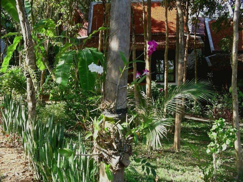 СПб-БКК-Ко Тао–Ко Самуи. Март 2009 (3ч.Ко Самуи-много фото)