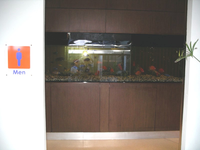 СПб-БКК-Ко Тао–Ко Самуи. Март 2009 (3ч.Ко Самуи-много фото)