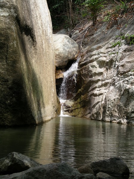 СПб-БКК-Ко Тао–Ко Самуи. Март 2009 (3ч.Ко Самуи-много фото)