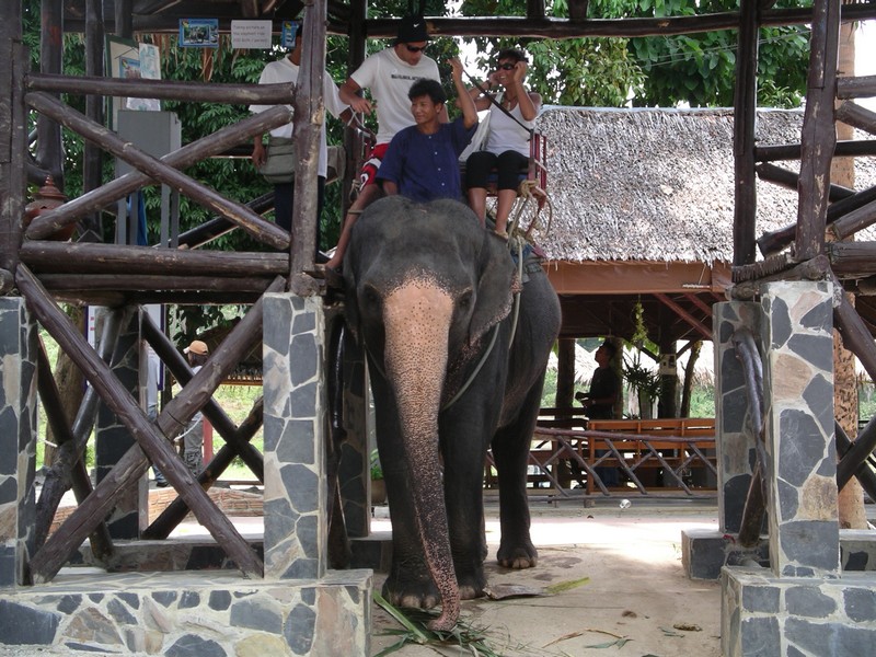 СПб-БКК-Ко Тао–Ко Самуи. Март 2009 (3ч.Ко Самуи-много фото)