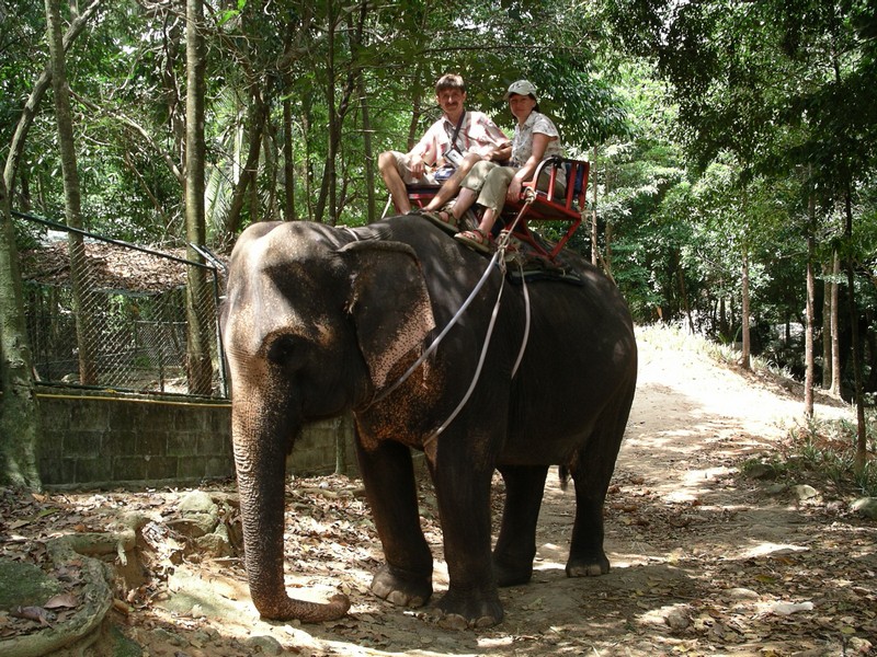 СПб-БКК-Ко Тао–Ко Самуи. Март 2009 (3ч.Ко Самуи-много фото)