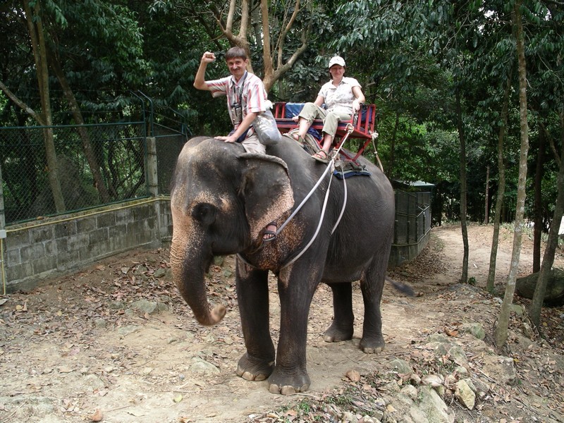 СПб-БКК-Ко Тао–Ко Самуи. Март 2009 (3ч.Ко Самуи-много фото)