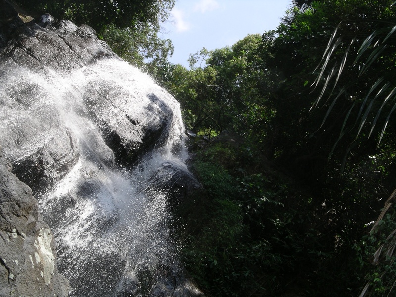 СПб-БКК-Ко Тао–Ко Самуи. Март 2009 (3ч.Ко Самуи-много фото)