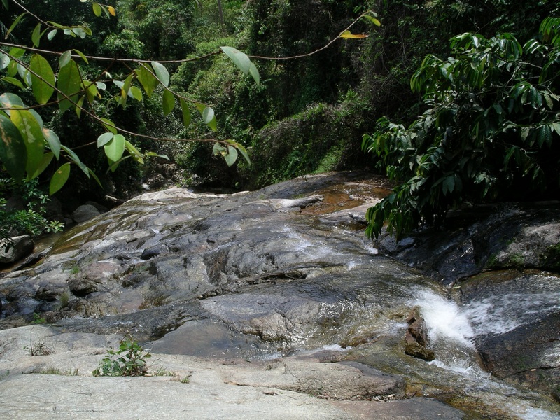 СПб-БКК-Ко Тао–Ко Самуи. Март 2009 (3ч.Ко Самуи-много фото)