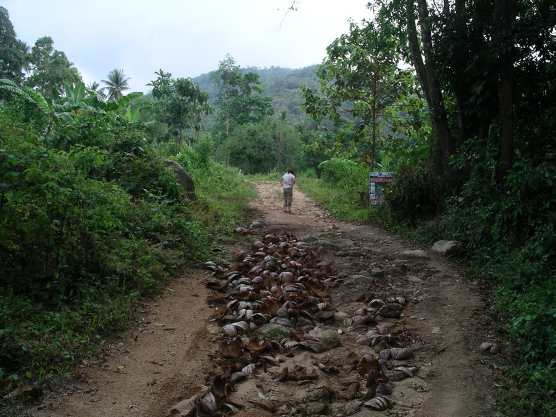 СПб-БКК-Ко Тао–Ко Самуи. Март 2009 (3ч.Ко Самуи-много фото)