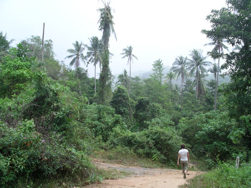 СПб-БКК-Ко Тао–Ко Самуи. Март 2009 (3ч.Ко Самуи-много фото)