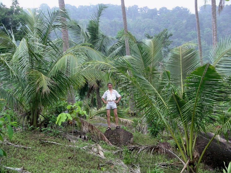 СПб-БКК-Ко Тао–Ко Самуи. Март 2009 (3ч.Ко Самуи-много фото)