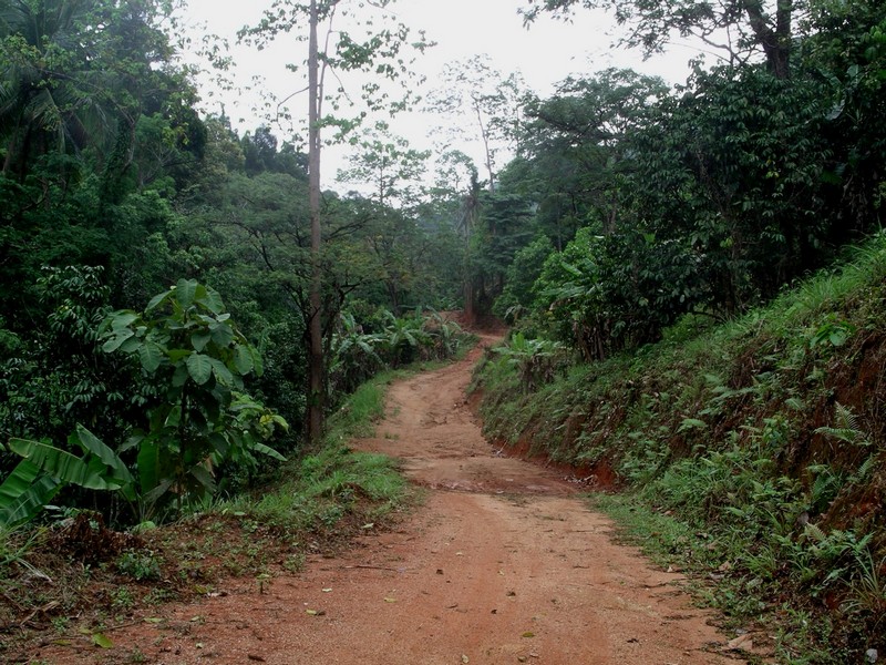 СПб-БКК-Ко Тао–Ко Самуи. Март 2009 (3ч.Ко Самуи-много фото)