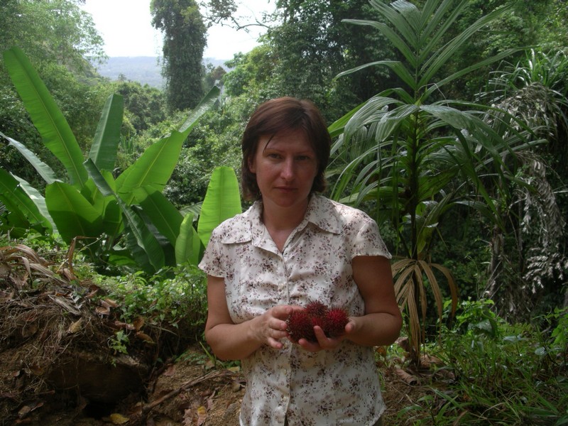 СПб-БКК-Ко Тао–Ко Самуи. Март 2009 (3ч.Ко Самуи-много фото)