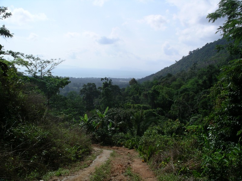 СПб-БКК-Ко Тао–Ко Самуи. Март 2009 (3ч.Ко Самуи-много фото)