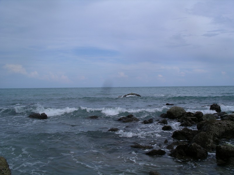 СПб-БКК-Ко Тао–Ко Самуи. Март 2009 (3ч.Ко Самуи-много фото)