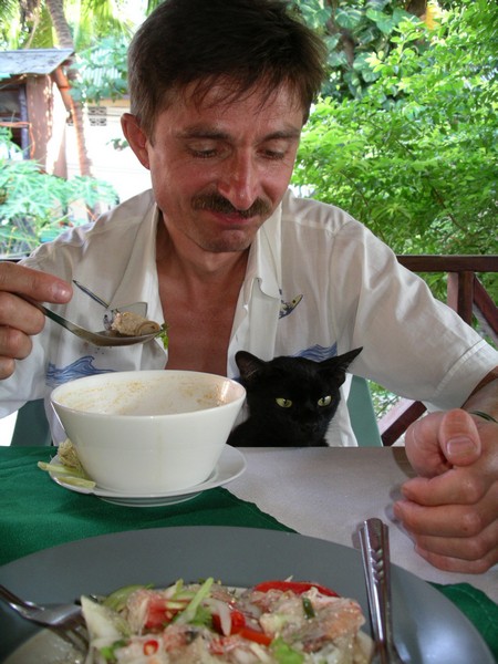 СПб-БКК-Ко Тао–Ко Самуи. Март 2009 (3ч.Ко Самуи-много фото)