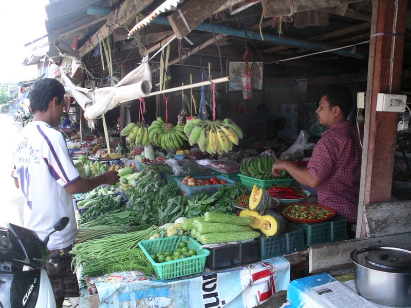 СПб-БКК-Ко Тао–Ко Самуи. Март 2009 (3ч.Ко Самуи-много фото)
