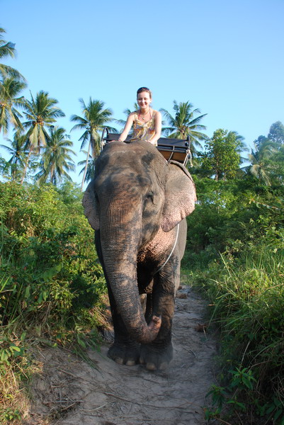 Самуи, Ко Тао - самостоятельное путешествие (янв. 2009)